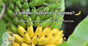 Diferentes nombres de la banana en América