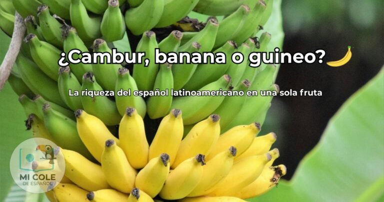 Diferentes nombres de la banana en América